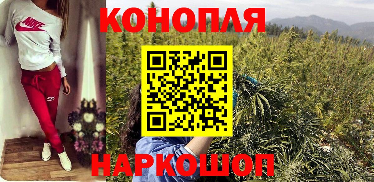 Бошки Шишки сатива Алексин